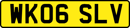 WK06SLV