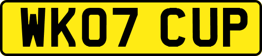 WK07CUP