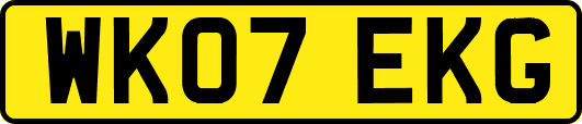 WK07EKG
