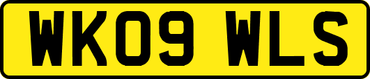 WK09WLS