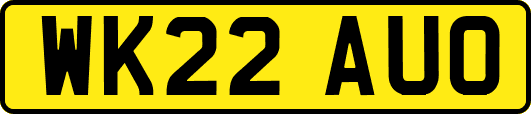 WK22AUO