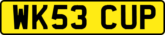 WK53CUP