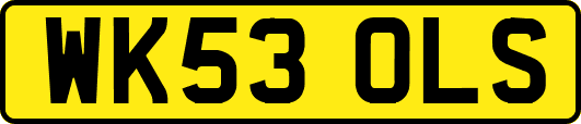 WK53OLS