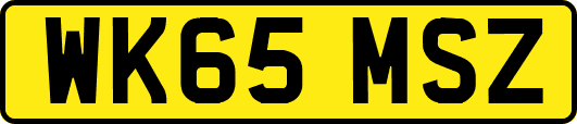 WK65MSZ