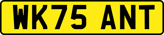 WK75ANT