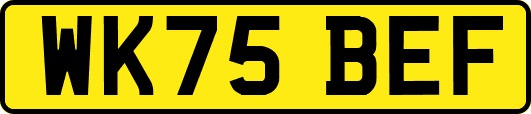 WK75BEF