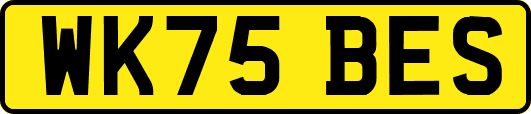 WK75BES