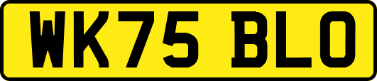 WK75BLO