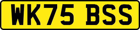 WK75BSS
