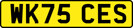 WK75CES