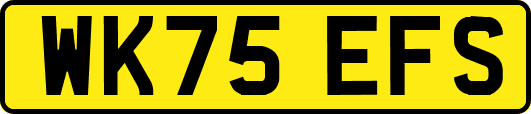 WK75EFS