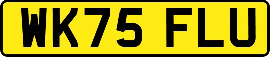 WK75FLU