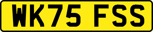 WK75FSS