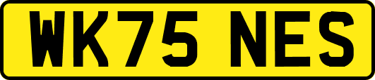 WK75NES