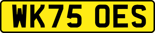 WK75OES