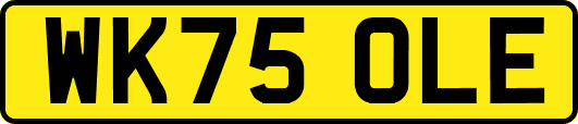 WK75OLE