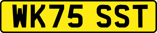 WK75SST