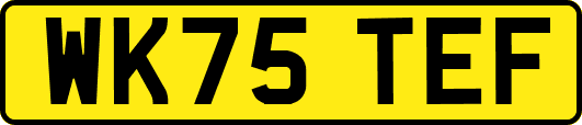 WK75TEF