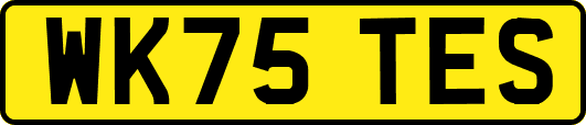 WK75TES