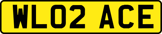 WL02ACE