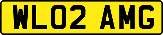WL02AMG