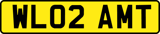 WL02AMT