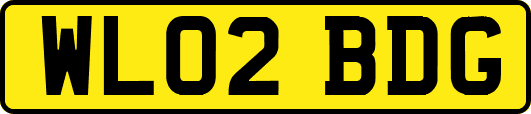 WL02BDG