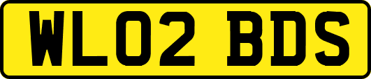 WL02BDS