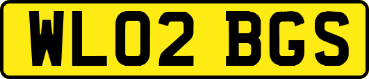 WL02BGS