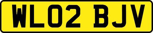 WL02BJV