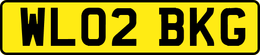 WL02BKG