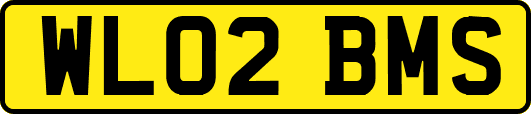 WL02BMS