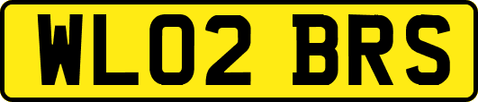 WL02BRS