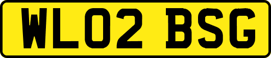 WL02BSG