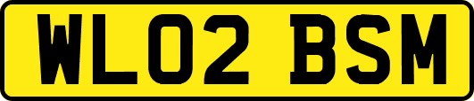 WL02BSM