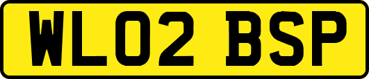 WL02BSP