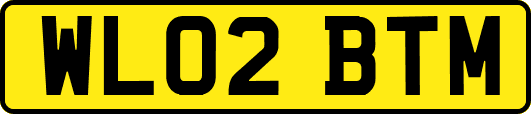 WL02BTM