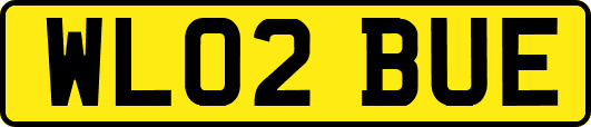 WL02BUE