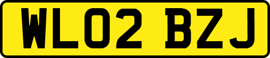 WL02BZJ