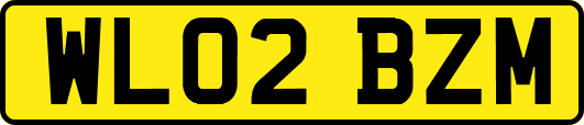 WL02BZM