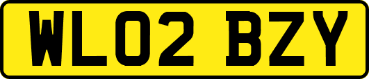 WL02BZY