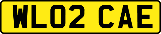 WL02CAE