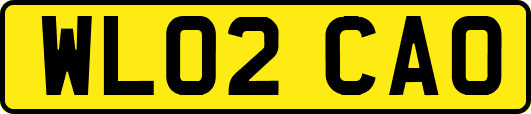 WL02CAO