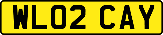 WL02CAY