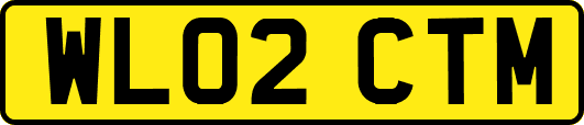 WL02CTM