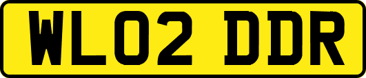 WL02DDR
