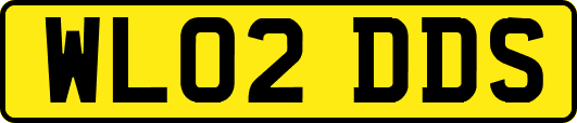 WL02DDS
