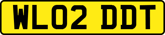 WL02DDT