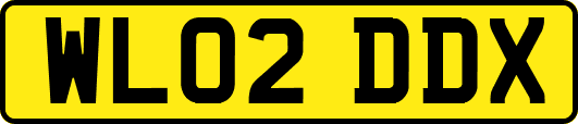 WL02DDX