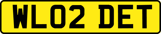 WL02DET